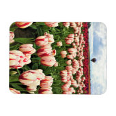 Happy Generation Tulip Field, Oregon Magnet (Horizontal)