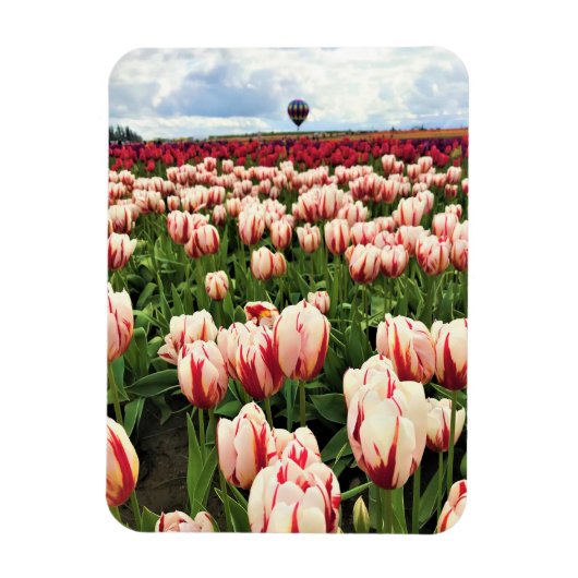 Happy Generation Tulip Field, Oregon Magnet (Vertikal)