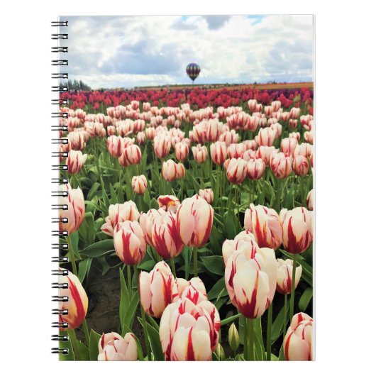 Happy Generation Tulip Field, Oregon Notizblock (Vorderseite)