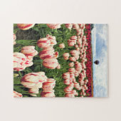 Happy Generation Tulip Field, Oregon Puzzle (Horizontal)