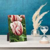 Happy Generation Tulip Fotoplatte (Seite)