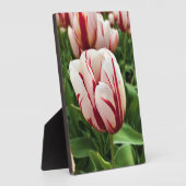 Happy Generation Tulip Fotoplatte (Seite)