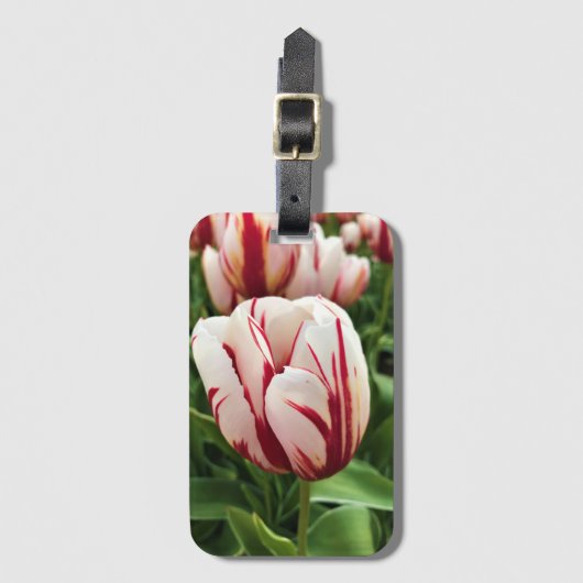 Happy Generation Tulip Gepäckanhänger (Vorderseite Vertikal)