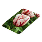 Happy Generation Tulip Magnet (Linke Seite)