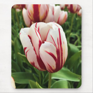 Happy Generation Tulip Mousepad