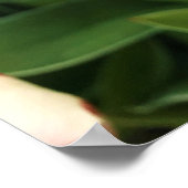 Happy Generation Tulip Poster (Ecke)