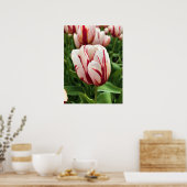 Happy Generation Tulip Poster (Küche)
