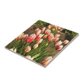 Happy Generation Tulips Fliese (Seite)