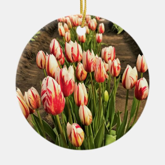 Happy Generation Tulips Keramik Ornament (Vorne)
