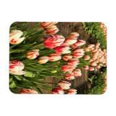 Happy Generation Tulips Magnet (Horizontal)