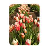 Happy Generation Tulips Magnet (Vertikal)