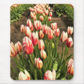 Happy Generation Tulips Mousepad (Vorne)