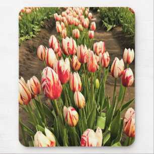 Happy Generation Tulips Mousepad