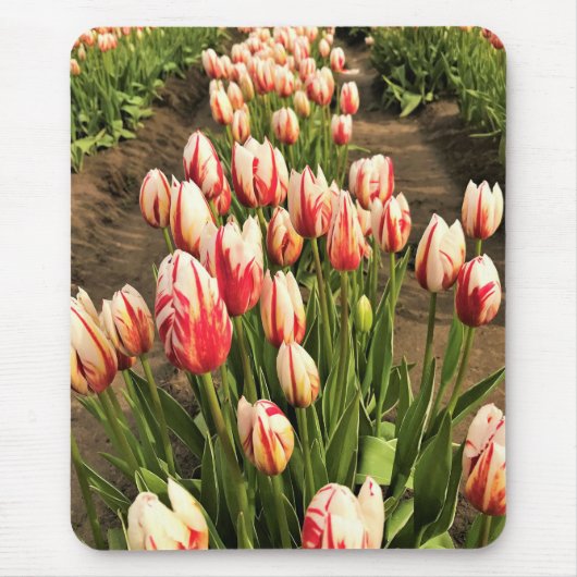Happy Generation Tulips Mousepad (Vorne)