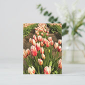 Happy Generation Tulips Postkarte (Stehend Vorderseite)