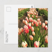Happy Generation Tulips Postkarte (Vorne/Hinten)