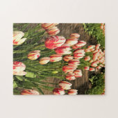 Happy Generation Tulips Puzzle (Horizontal)