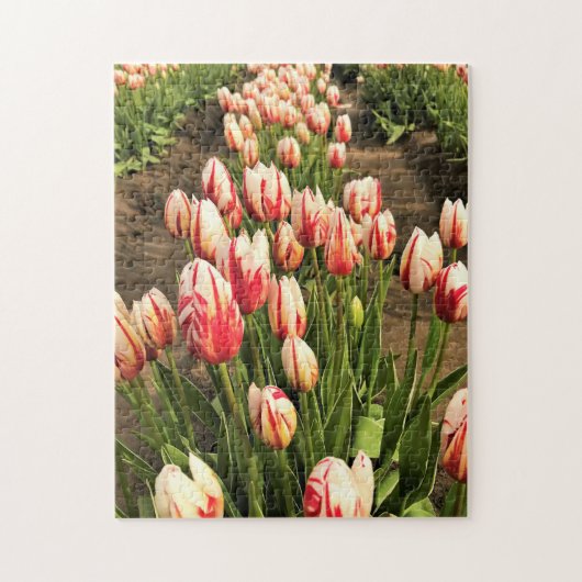 Happy Generation Tulips Puzzle (Vertikal)