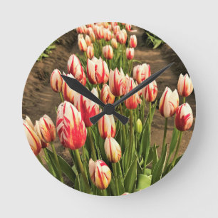 Happy Generation Tulips Runde Wanduhr