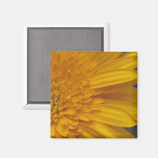 Happy Gerber Square Magnet (Vorderseite/Rückseite)