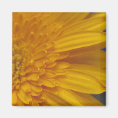 Happy Gerber Square Magnet (Vorne)