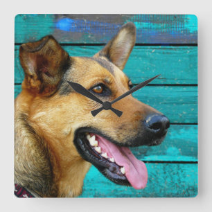 Happy German Shepherd Dog Rustic Teal Quadratische Wanduhr
