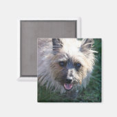 Happy Girl Magnet (Vorderseite/Rückseite)