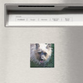 Happy Girl Magnet (In Situ (Geschirrspüler))