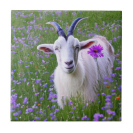 Happy Goat Fliese