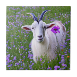 Happy Goat Fliese