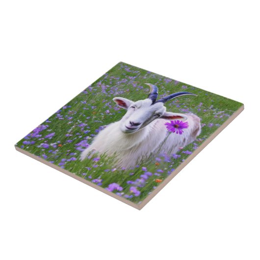 Happy Goat Fliese (Seite)