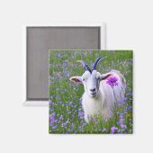 Happy Goat Magnet (Vorderseite/Rückseite)