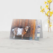 Happy Goat Note Card Karte (Gelbe Blume)
