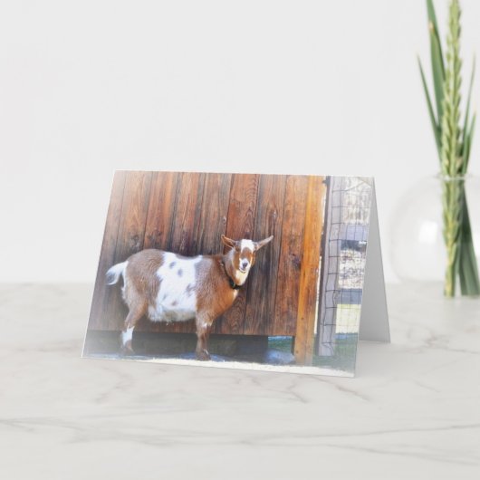 Happy Goat Note Card Karte (Vorderseite)