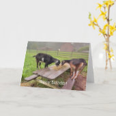 Happy Goats Sunset Birthday Karte (Gelbe Blume)