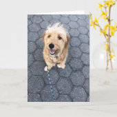 Happy Golden Doodle Dog On A Walk Karte (Gelbe Blume)