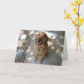 Happy Golden Retriever Karte (Gelbe Blume)