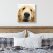 Happy Golden Retriever Leinwanddruck (Insitu (Schlafzimmer))