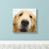 Happy Golden Retriever Leinwanddruck (Insitu (Holzboden))