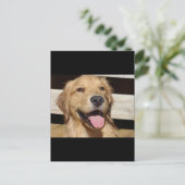 Happy Golden Retriever Postkarte (Stehend Vorderseite)