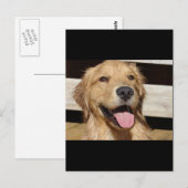 Happy Golden Retriever Postkarte (Vorne/Hinten)