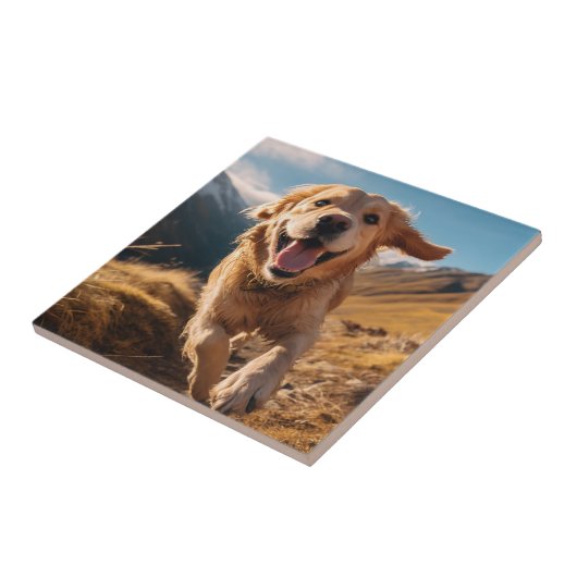 Happy Golden Retriever Running Fliese (Seite)