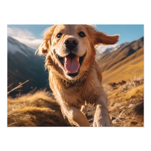 Happy Golden Retriever Running Fotodruck (Vorne)