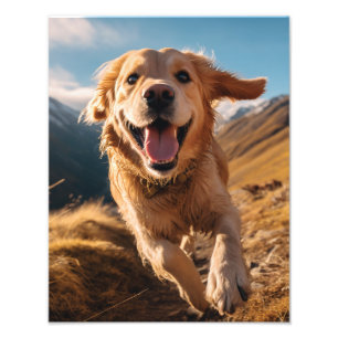 Happy Golden Retriever Running Fotodruck