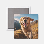 Happy Golden Retriever Running Magnet (Vorderseite/Rückseite)