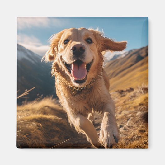 Happy Golden Retriever Running Magnet (Vorne)