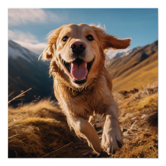 Happy Golden Retriever Running Poster (Vorderseite)