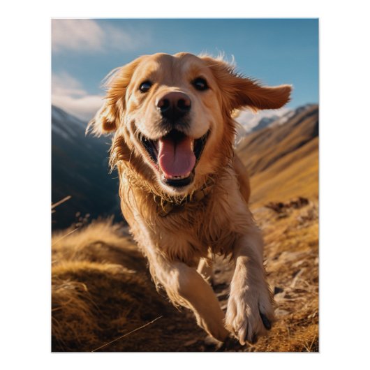 Happy Golden Retriever Running Poster (Vorderseite)