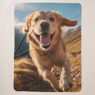 Happy Golden Retriever Running Sherpadecke