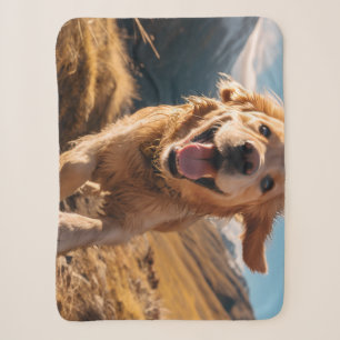 Happy Golden Retriever Running Sherpadecke